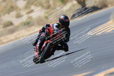 media/May-14-2023-SoCal Trackdays (Sun) [[024eb53b40]]/Turn 5 Tree of Life (1125am)/